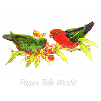 Aussie King Parrots - 11" x 7"