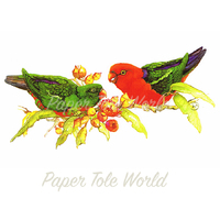 Aussie King Parrots - Single Print - 11" x 7"