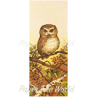 Baby Owl - Single Print - 6" x 15"