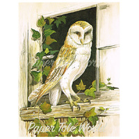 Barn Owl - 6" x 8"