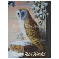 Barn Owl in the Snow - Single Print - 13" x 17"