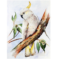 Cockatoo & Gum - 6" x 8"