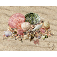 Cool Shells - 8" x 10"