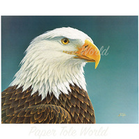 Eagle Head - 14" x 11"