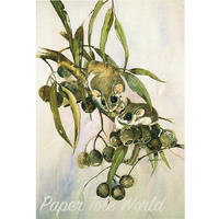 Feather Tail Gliders - Single Print - 11.5" x 8".5