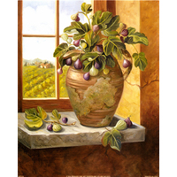 Figs in Tuscany - 8" x 10"
