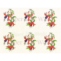 Fuchsias - Card Sheet - 8" x 10"