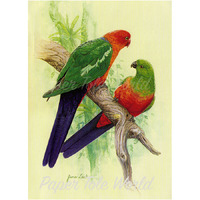 King Parrots - 6" x 8"