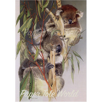Koalas - 6" x 8"