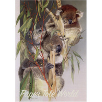 Koalas - Single Print - 6" x 8"