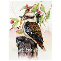 Kookaburra & Gum Flowers - 12" x 16"