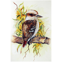 Kookaburra & Wattle - 6" x 8"
