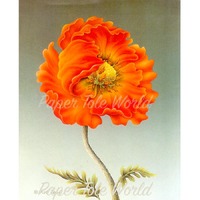 Orange Poppy - 8" x 10"