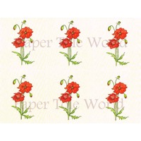 Poppies II - Card Sheet - 8" x 10"