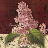 Postcard Lilac - 6" x 6"