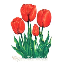 Red Tulips - 4" x 5"