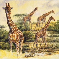 Safari III - 12" x 12"