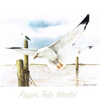 Seagull in Flight - Single Print - 6" x 8"
