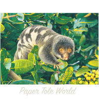 Spotted Cuscus - 14" x 10.5"