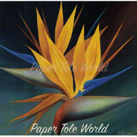 Strelitzia Double - 9" x 9"