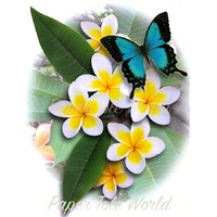 Swallowtail & Frangipani - 8" x 12"