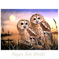 Tawny Owls - 12" x 16"
