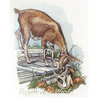 Goats - Single Print - 8" x 10"