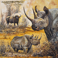 Safari I - 12" x 12"