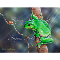 Close Encounter - Single Print - 8" x 10"