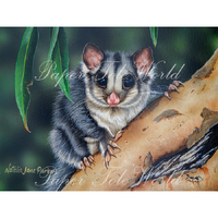 Friendly Visitor - Single Print - 13.5" x 10.5"