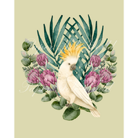 Cockatoo in Proteas - 8" x 10"