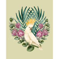 Cockatoo in Proteas - Single Print - 8" x 10"
