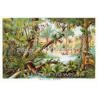 Tropical Zone 8" x 12", Single Print
