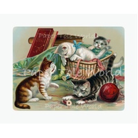 Kittens Playing - 6" x 8"