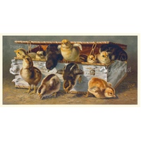 Vintage Chicks - 5" x 9.5"