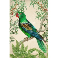 Vintage Green Parrot - 6" x 9"