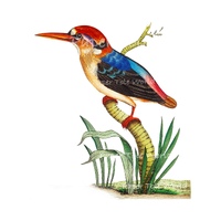 Kingfisher 7" x 9", Single Print