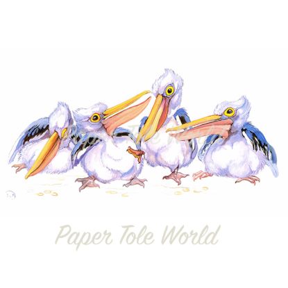 Picture of Aussie Pelicans - 11" x 7"