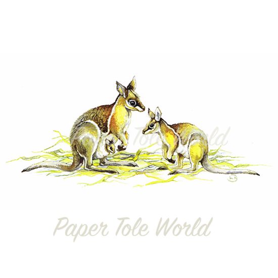 Picture of Aussie Wallaby - 11" x 7"