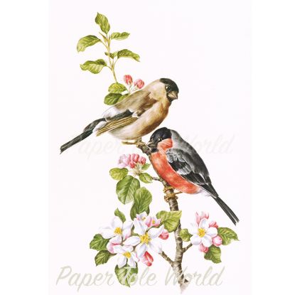 Picture of Bullfinch - 8" x 12"