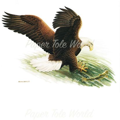 Picture of Eagle Fishing - 8" x 10"
