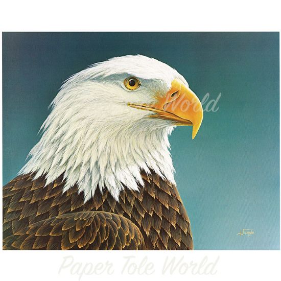Picture of Eagle Head - 14" x 11"
