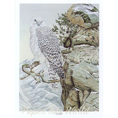 Picture of Gyr Falcon - 13" x 17"