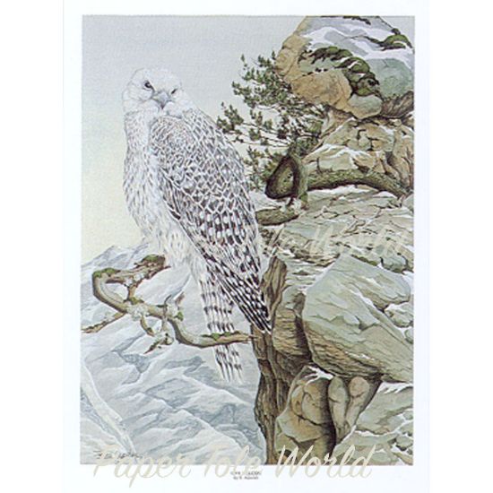 Picture of Gyr Falcon - 13" x 17"