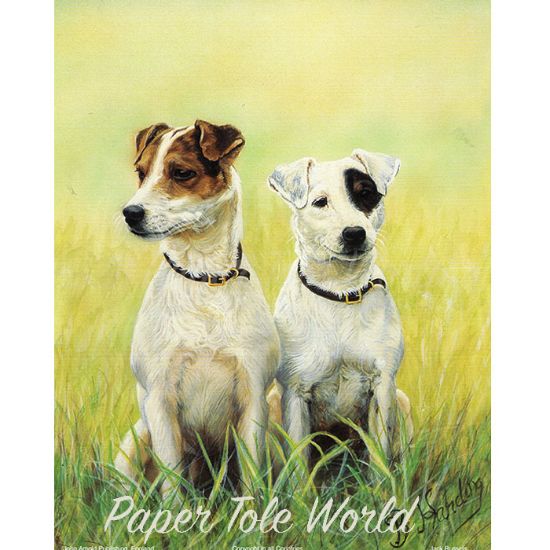 Picture of Jack Russells - 8" x 10"