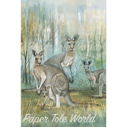 Picture of Kangaroos - 5" x 7"