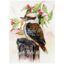 Picture of Kookaburra & Gum Flowers - 12" x 16"