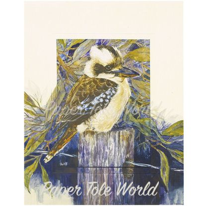 Picture of Kookaburra on Fence Post - 8" x 10"