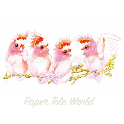 Picture of Major Mitchell Cockatoos - 11" x 7"