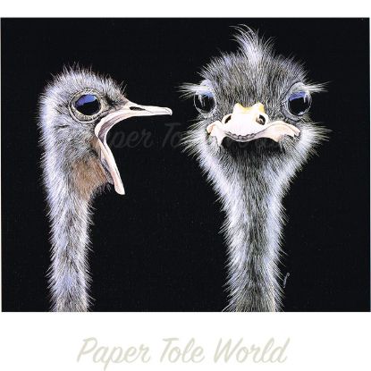 Picture of Ostrich Heads - 8" x 10"